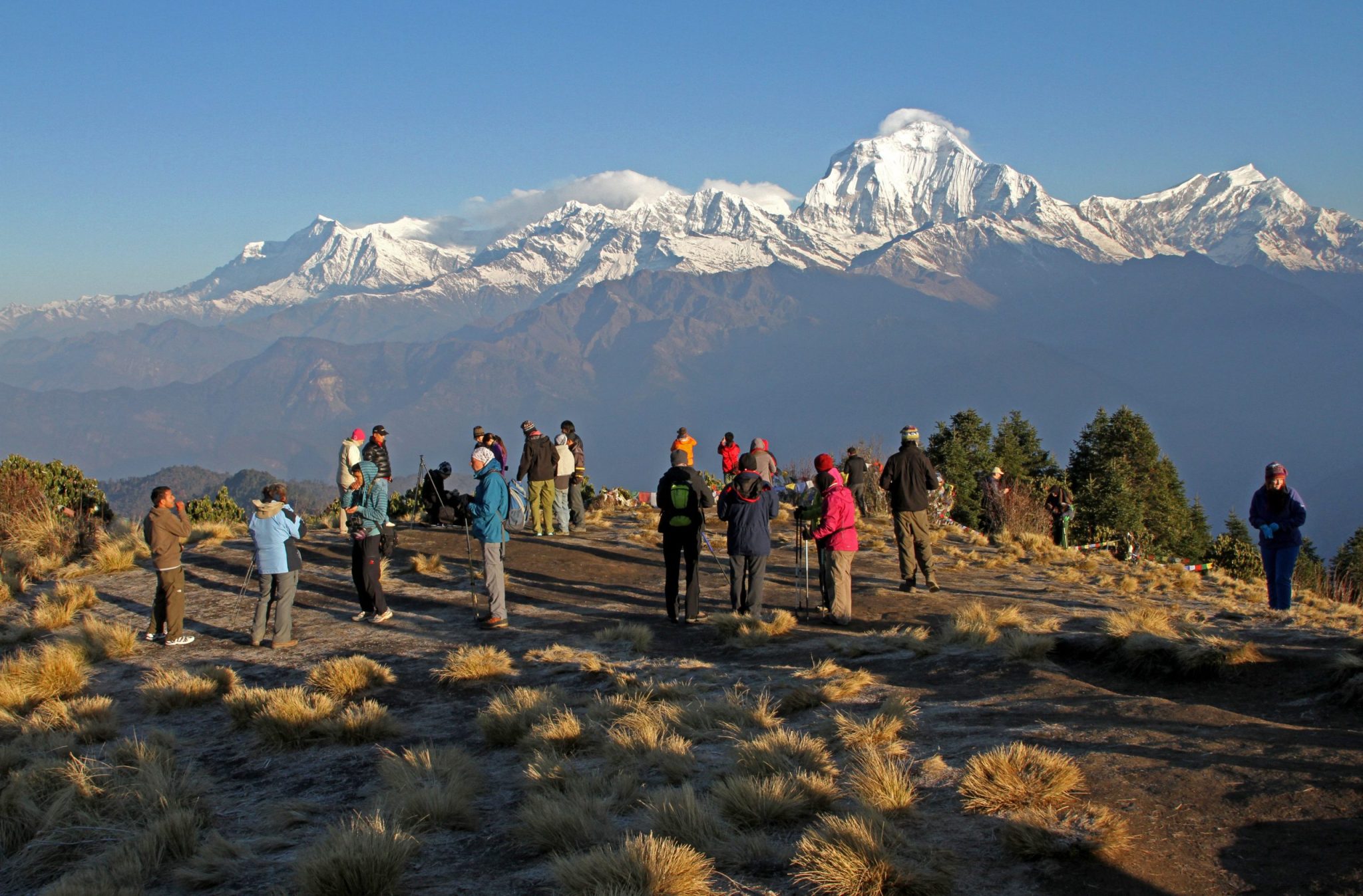 Ghorepani Poon Hill Trek